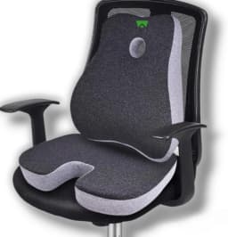 Memory Foam Lumbar Pillows